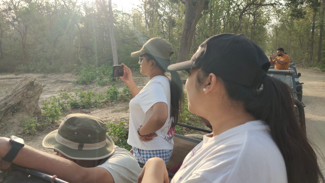 Safari 6