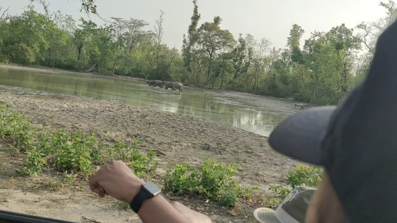 Safari 5